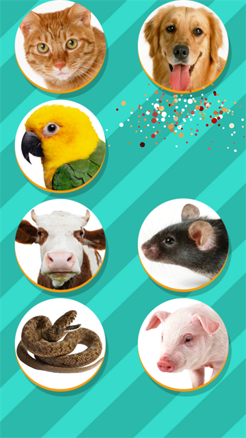 PetTranslator動(dòng)物語言翻譯器下載